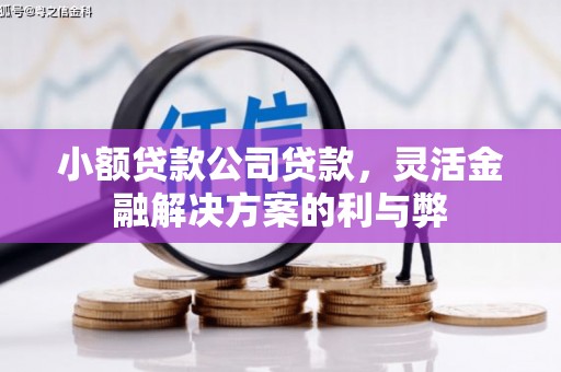 孟津小额贷款公司贷款，灵活金融解决方案的利与弊