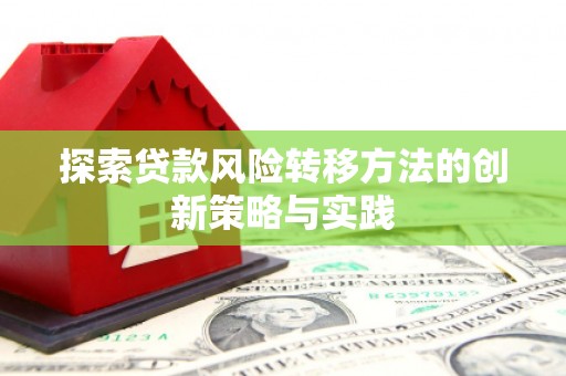 孟津探索贷款风险转移方法的创新策略与实践
